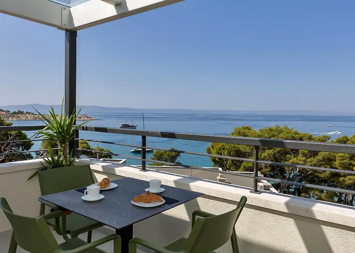 Beachfront Srzic Apartment